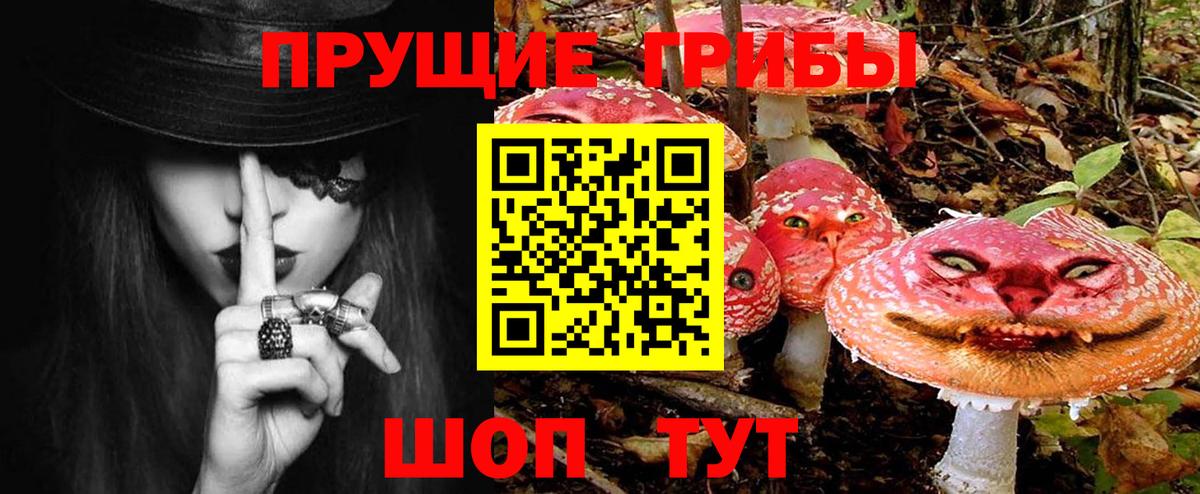 Галлюциногенные грибы MAGIC MUSHROOMS  Вход с VPN  Псилоцибиновые грибы мицелий  Белореченск 