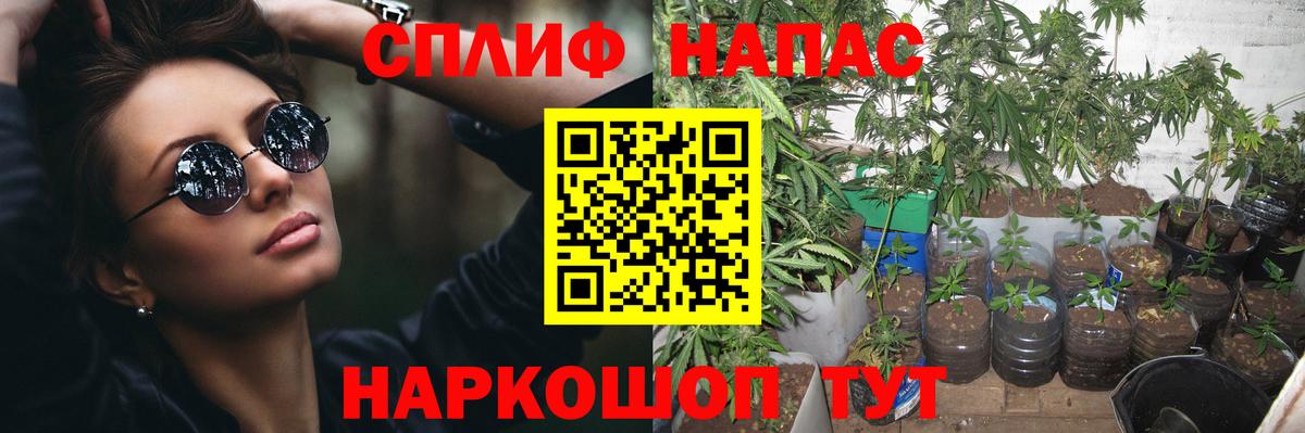 Канабис конопля Белореченск